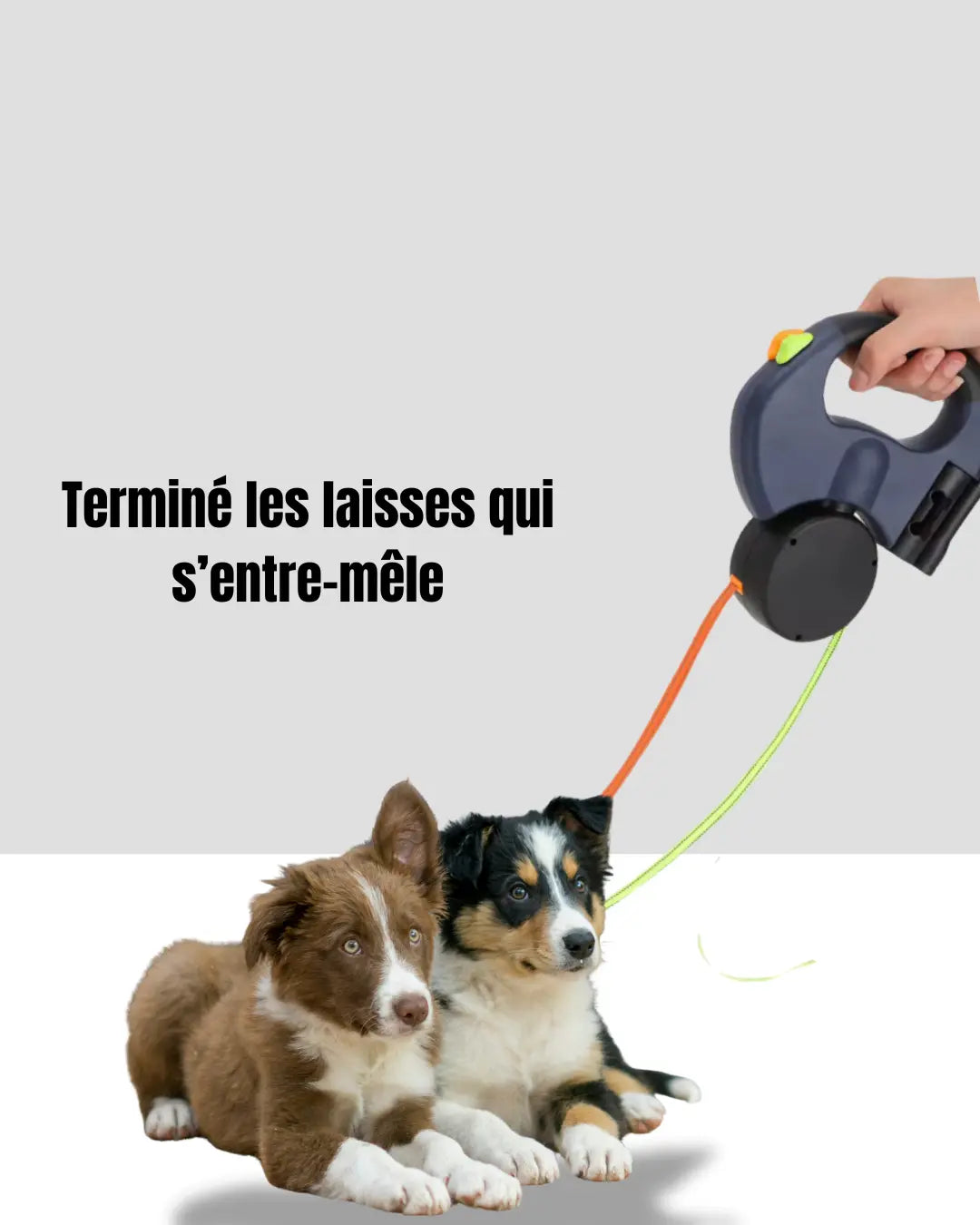 Laisse rétractable automatique double pour chien - Woufinity
