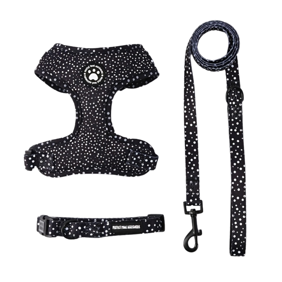 Ensemble collier, harnais et laisse pour chien noir - Woufinity