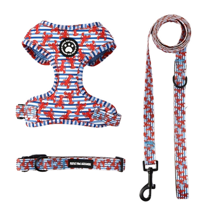 Ensemble collier, harnais et laisse pour chien homard - Woufinity