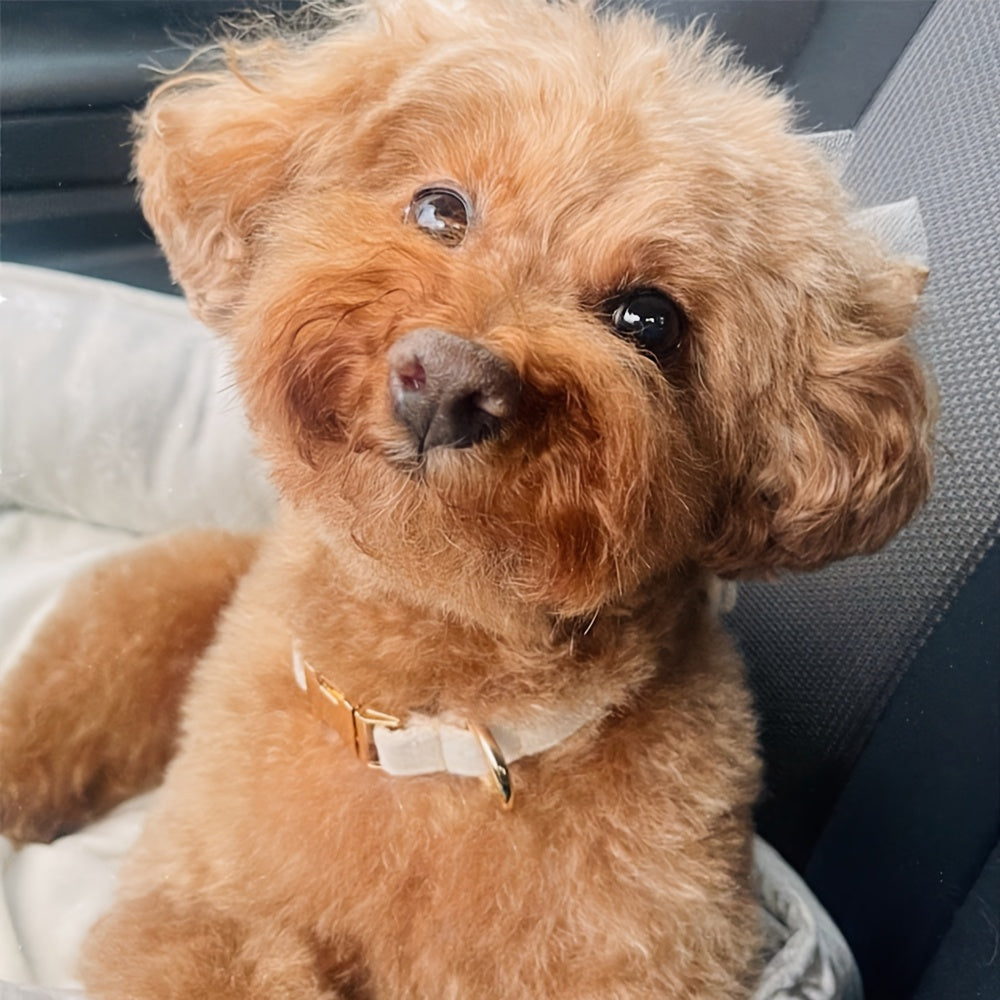 Collier gravée personnalisée en velours pour chien - Rose foncé