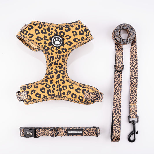 Ensemble collier, harnais et laisse pour chien léopard