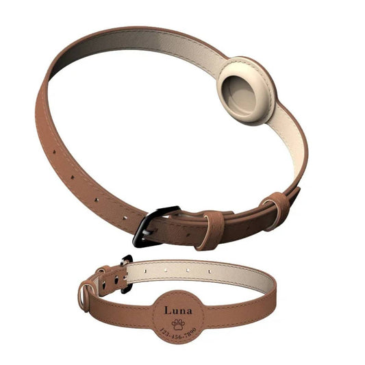 Collier en cuir pour chien personnalisable