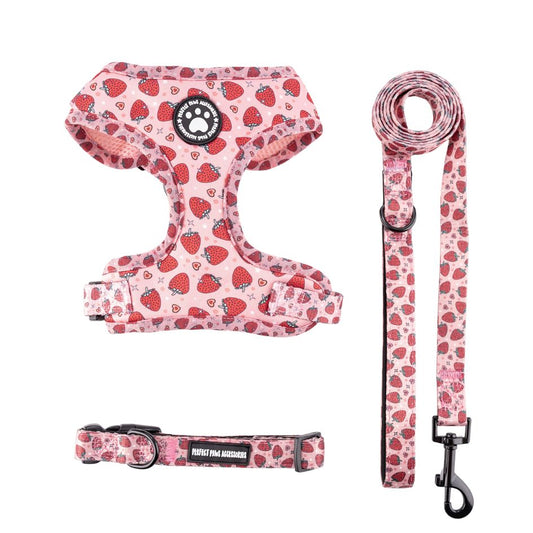 Ensemble collier, harnais et laisse pour chien fraises - Woufinity