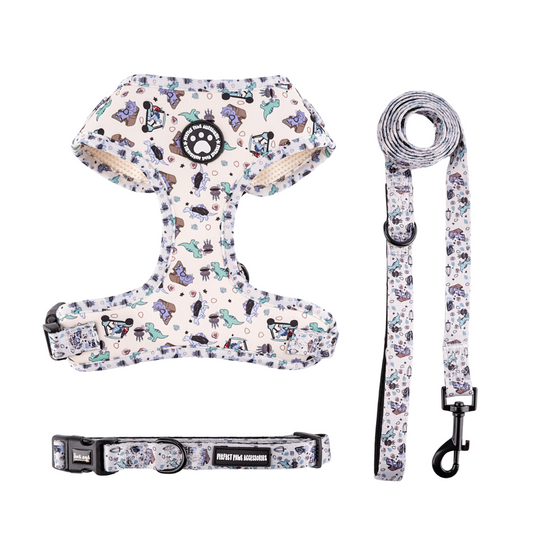 Ensemble collier, harnais et laisse pour chien papillons - Woufinity