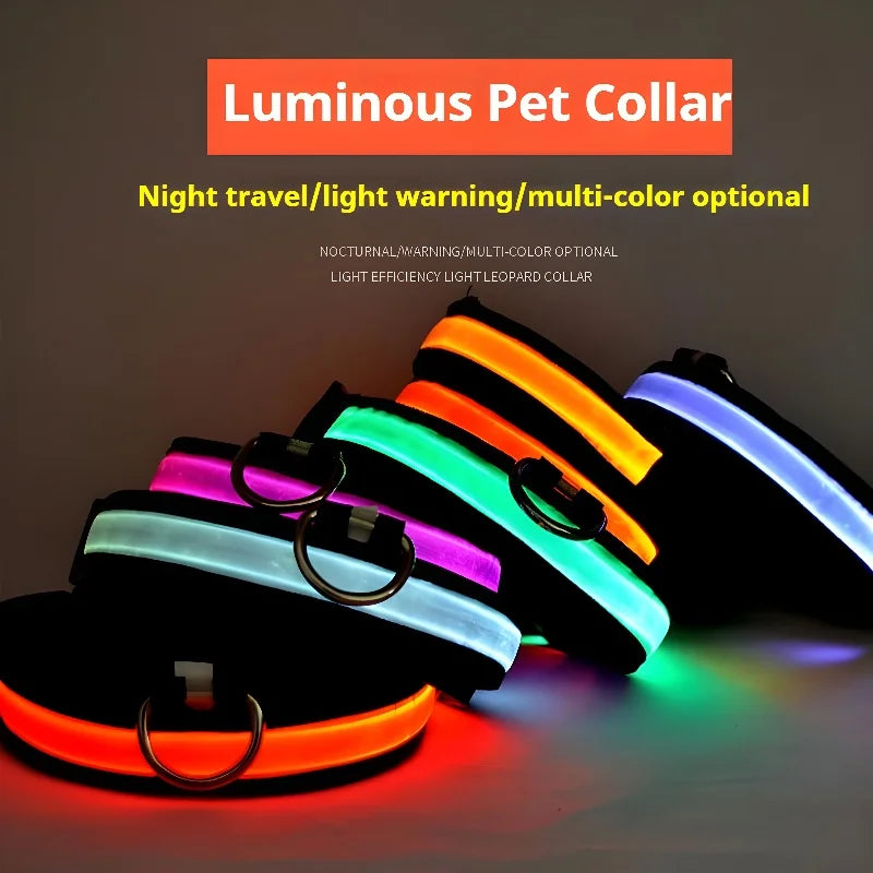 Collier lumineux chien