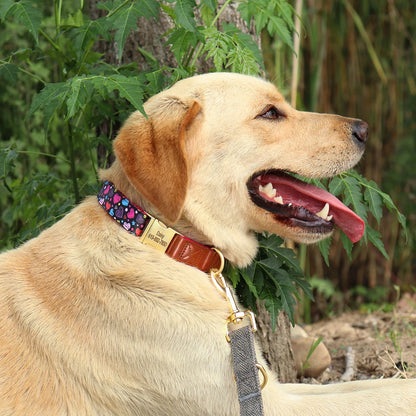 Collier pour chien personnalisable Rendez votre animal unique avec une personnalisation gratuite! La personnalisation permet à votre animal de se démarquer et d'être facilement identifié en cas de perte. Notre collier personnalisable offre une sécurité su