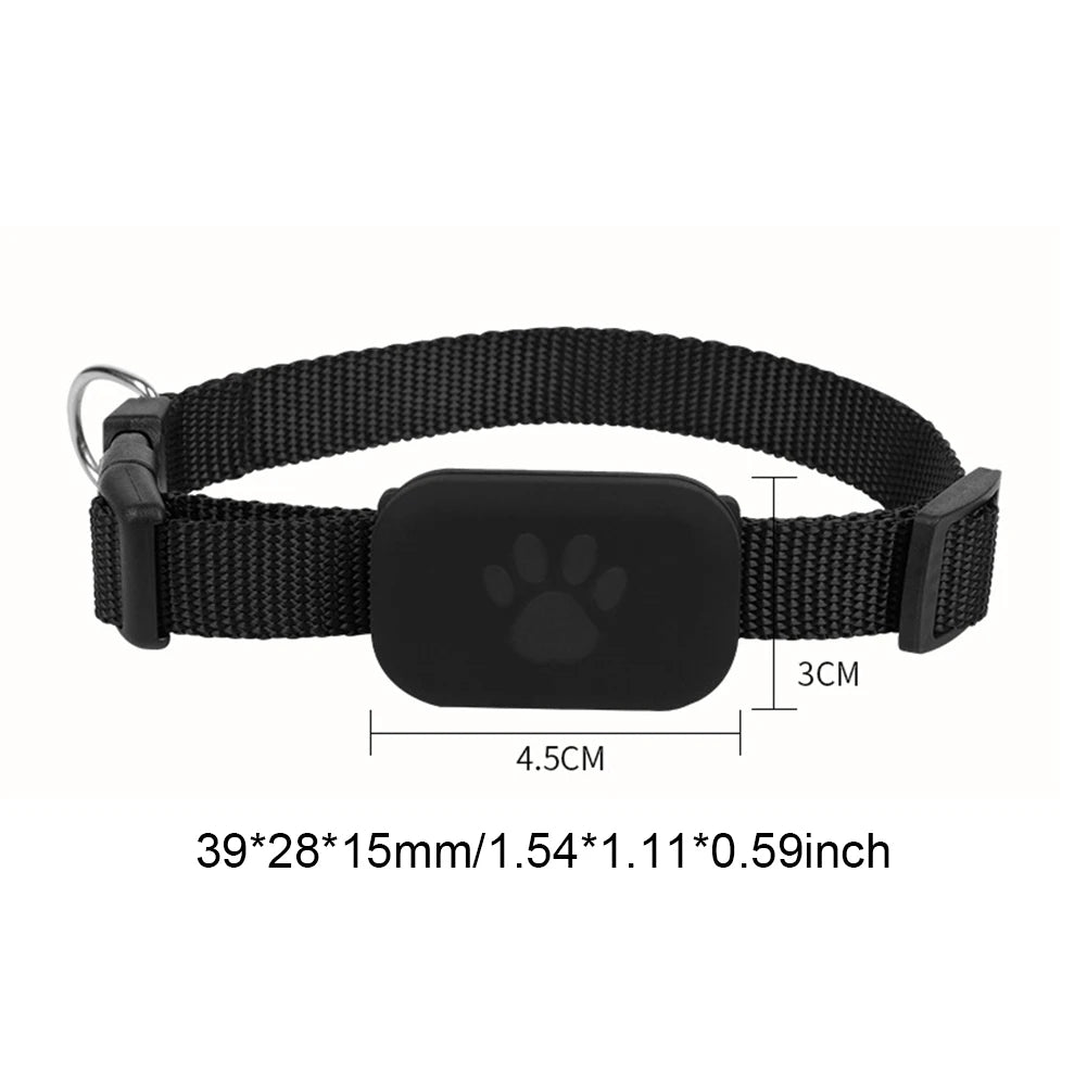 Collier gps pour chien et chat