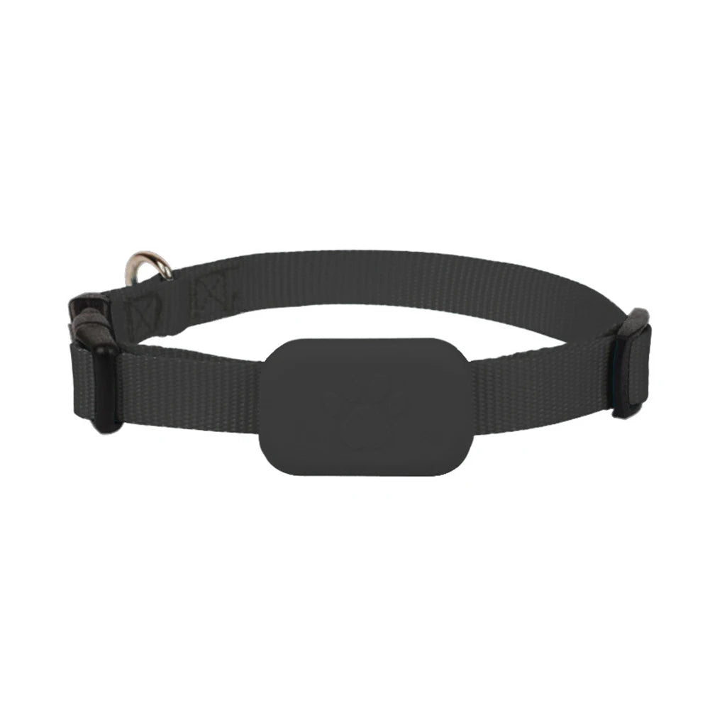 Collier gps pour chien et chat