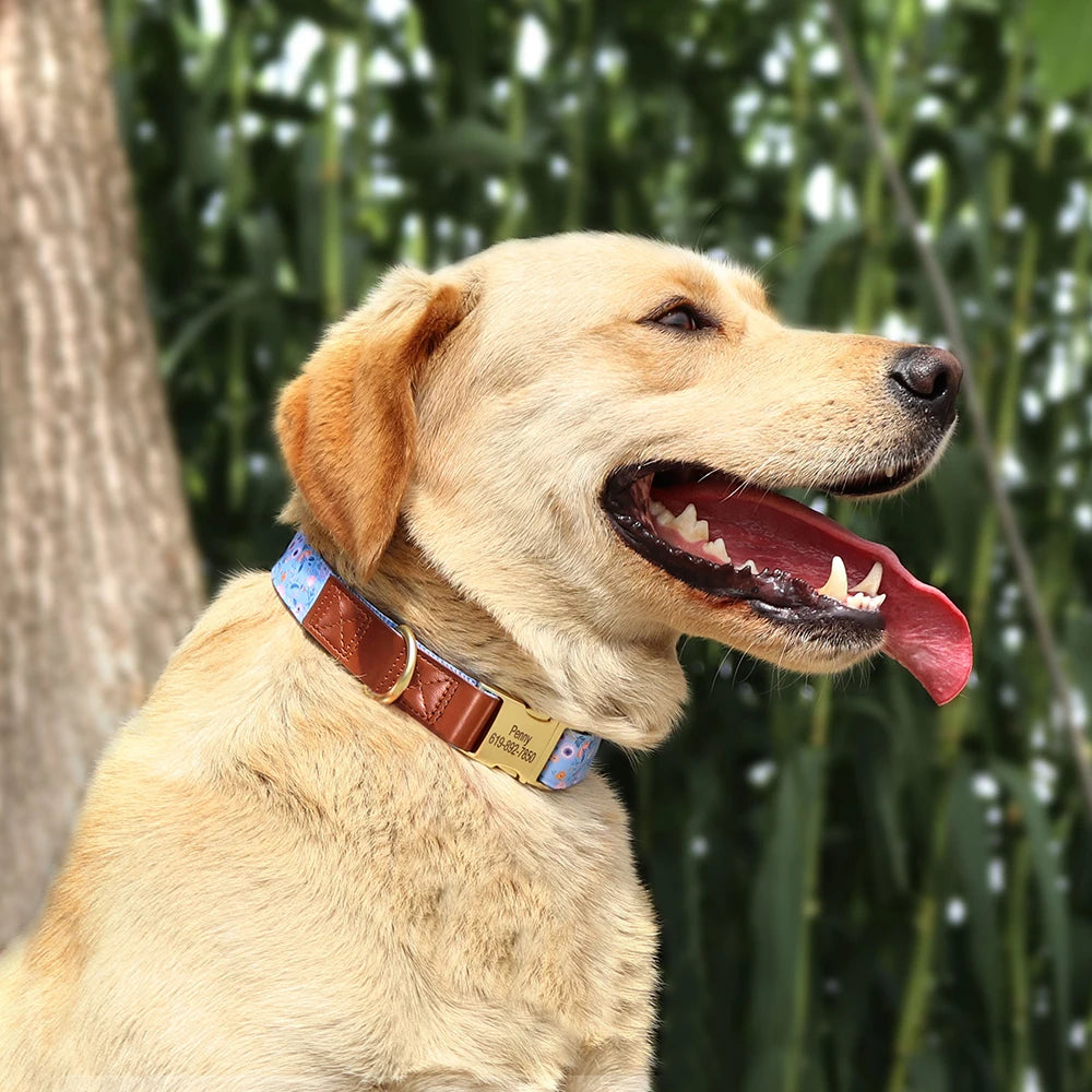 Collier pour chien personnalisable Rendez votre animal unique avec une personnalisation gratuite! La personnalisation permet à votre animal de se démarquer et d'être facilement identifié en cas de perte. Notre collier personnalisable offre une sécurité su