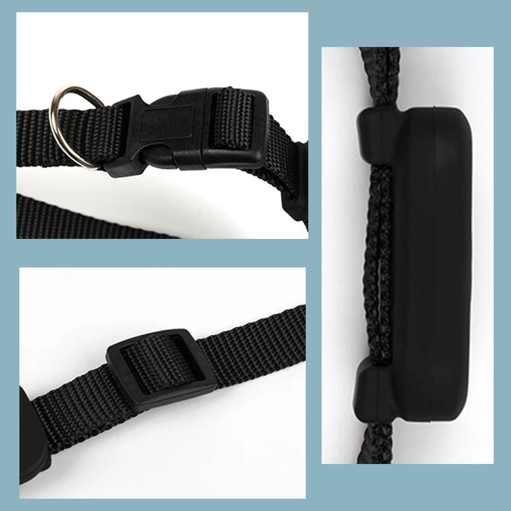 Collier gps pour chien et chat