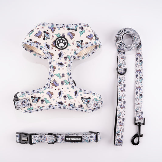 Ensemble collier, harnais et laisse pour chien papillons